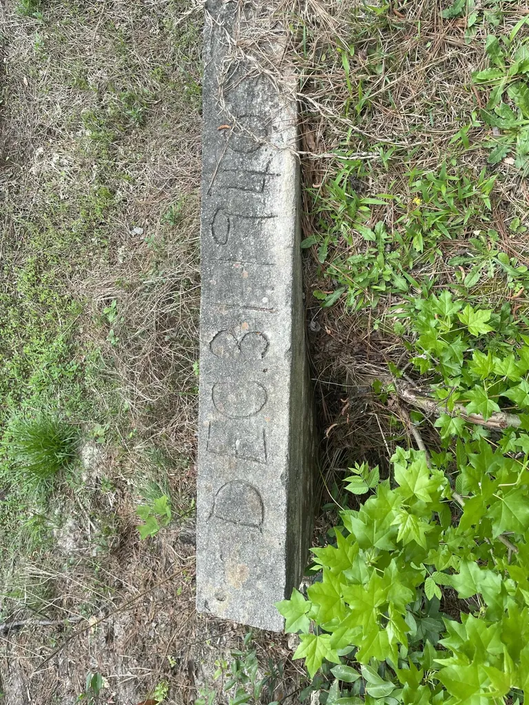 2009 Fort Creek Road Dearing GA 30808