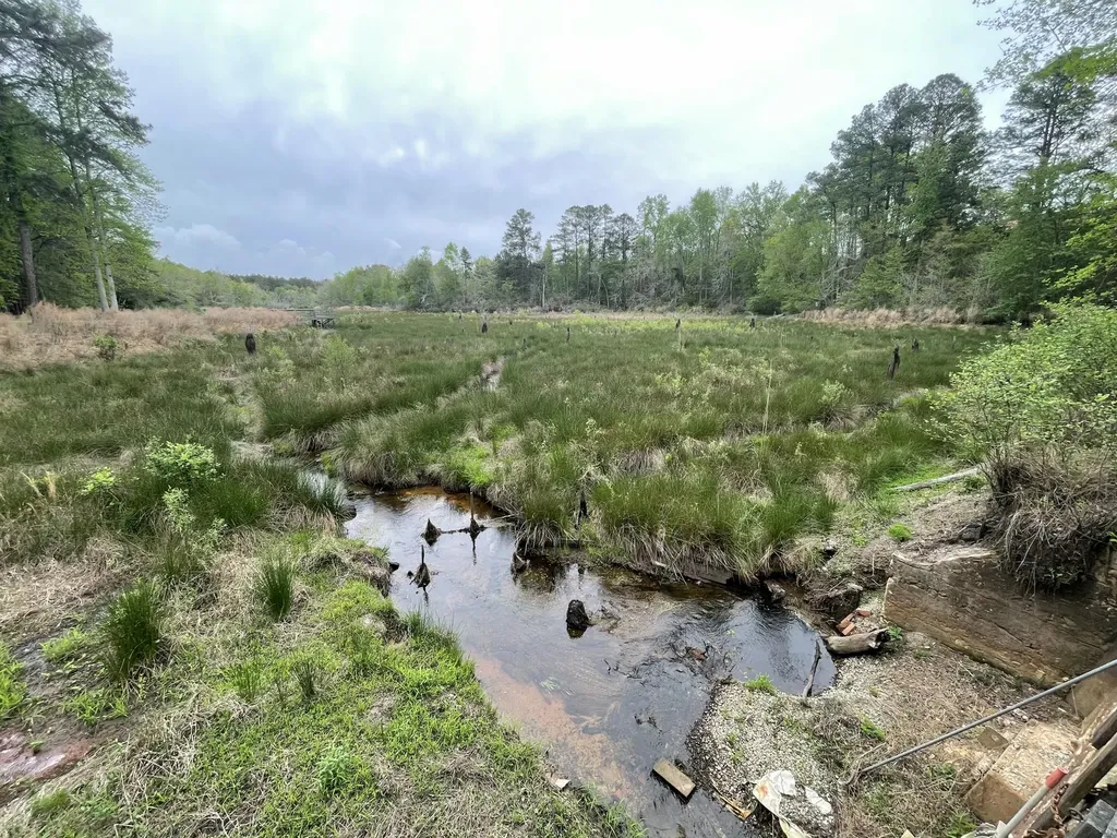 2009 Fort Creek Road Dearing GA 30808