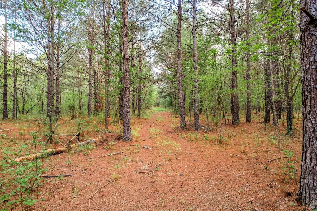 6995 Cobbham Road Appling GA 30802