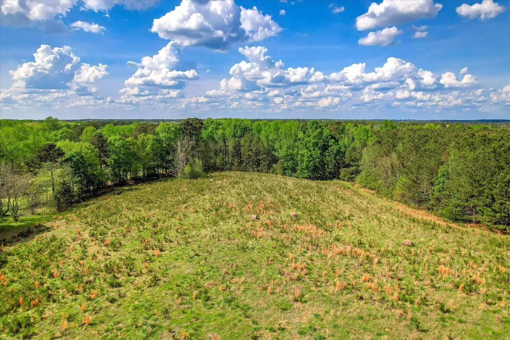 6995 Cobbham Road Appling GA 30802