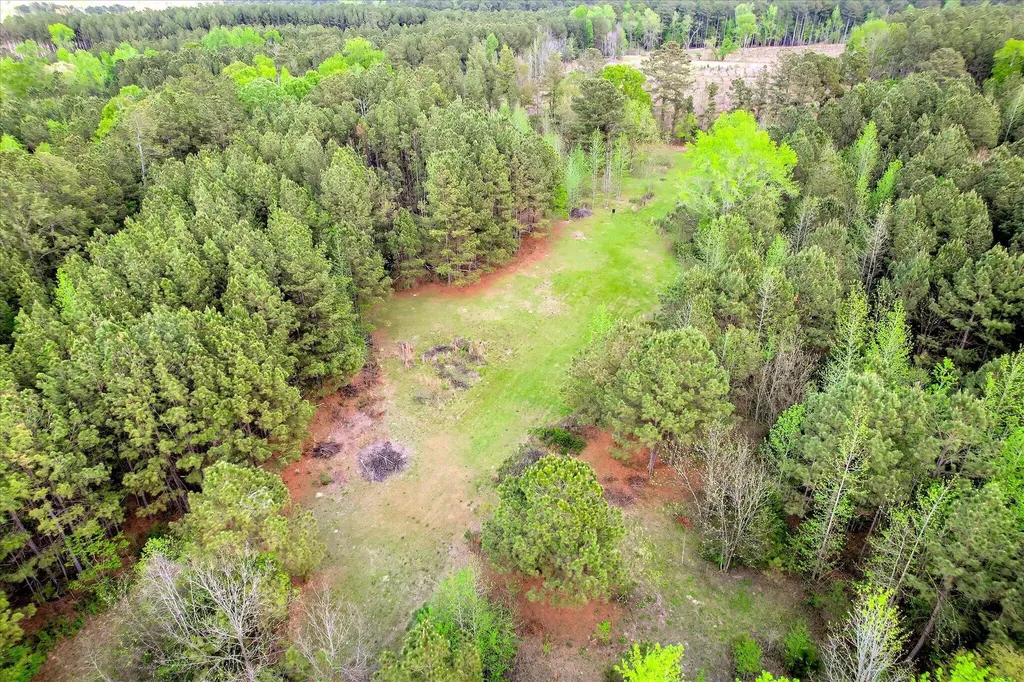 6995 Cobbham Road Appling GA 30802