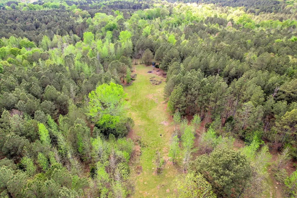 6995 Cobbham Road Appling GA 30802