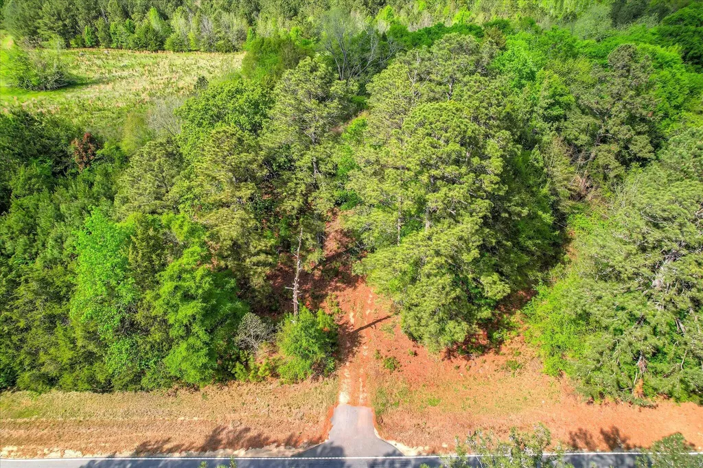 6995 Cobbham Road Appling GA 30802