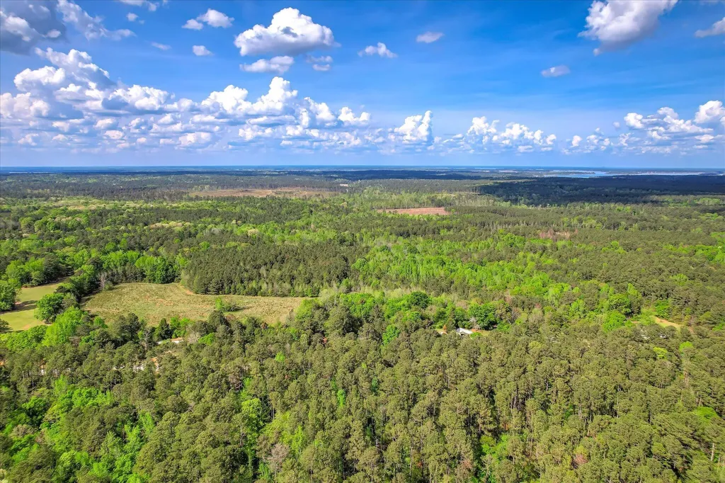 6995 Cobbham Road Appling GA 30802