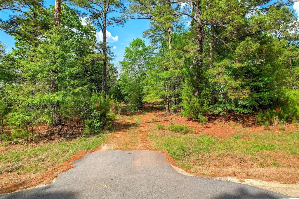 6995 Cobbham Road Appling GA 30802