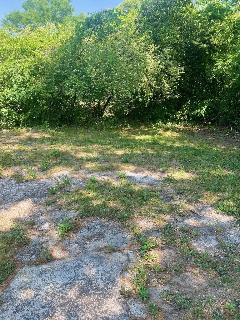 1115 8th Avenue Augusta GA 30901
