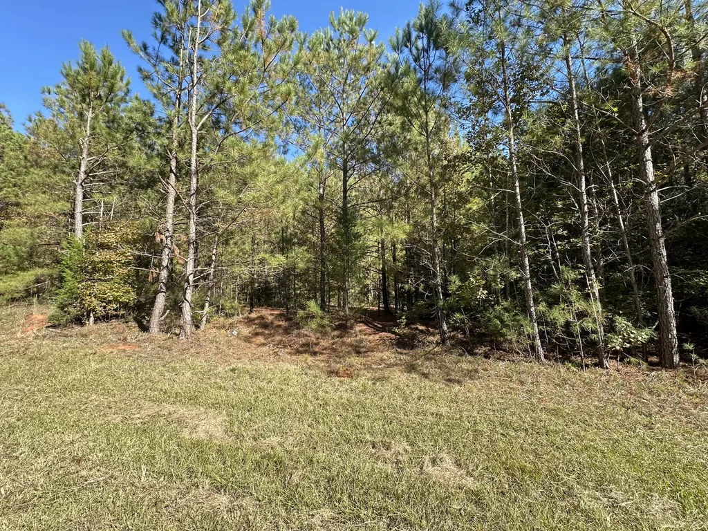 00 Crook Road Lincolnton GA 30817