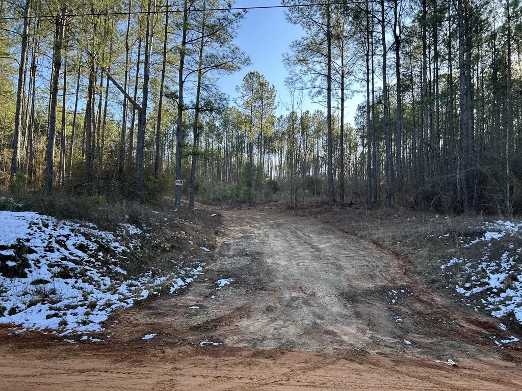 3229 Keysville-boggs Academy Road Keysville GA 30816