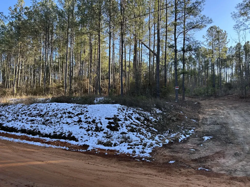3229 Keysville-boggs Academy Road Keysville GA 30816