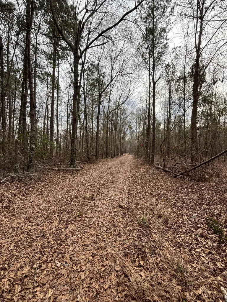 745 Wright Allen Road Blythe GA 30805