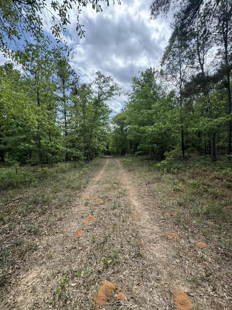 745 Wright Allen Road Blythe GA 30805