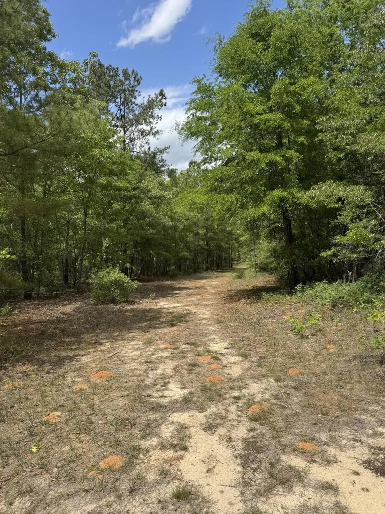 745 Wright Allen Road Blythe GA 30805