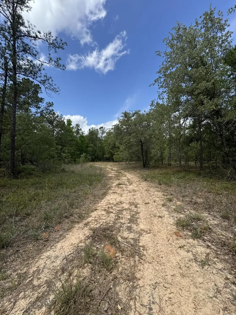 745 Wright Allen Road Blythe GA 30805