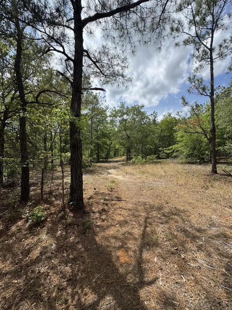 745 Wright Allen Road Blythe GA 30805