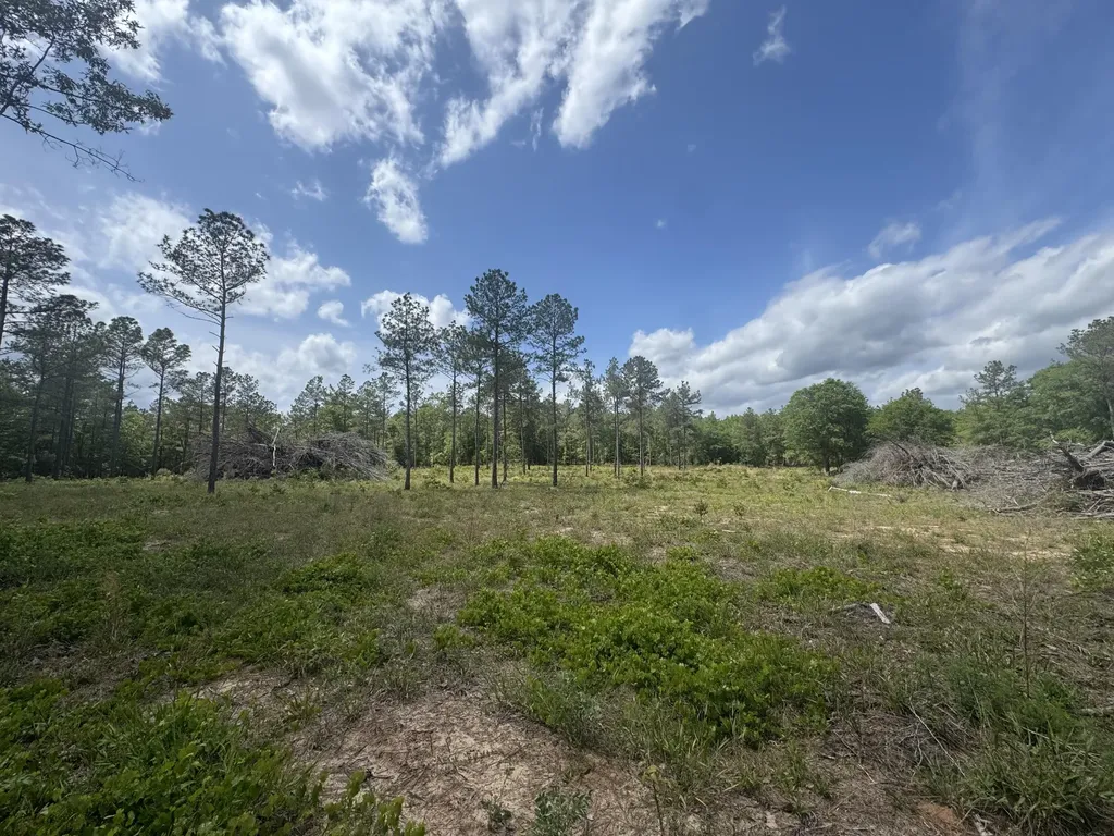 745 Wright Allen Road Blythe GA 30805