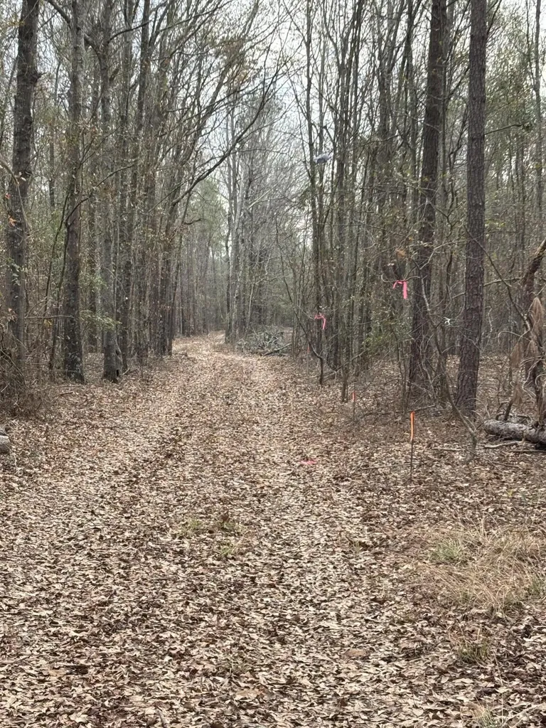 745 Wright Allen Road Blythe GA 30805