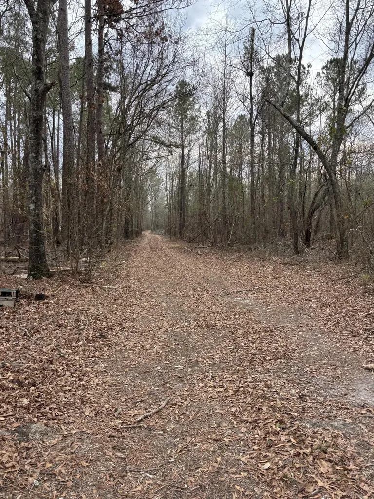 745 Wright Allen Road Blythe GA 30805