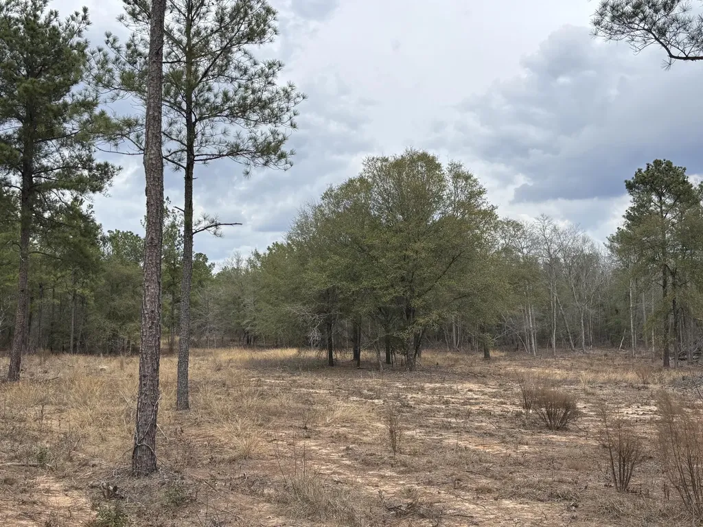 745 Wright Allen Road Blythe GA 30805