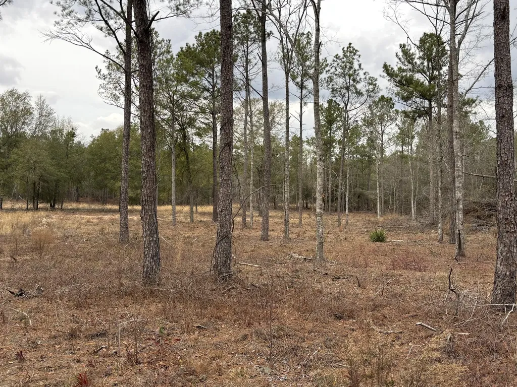 745 Wright Allen Road Blythe GA 30805