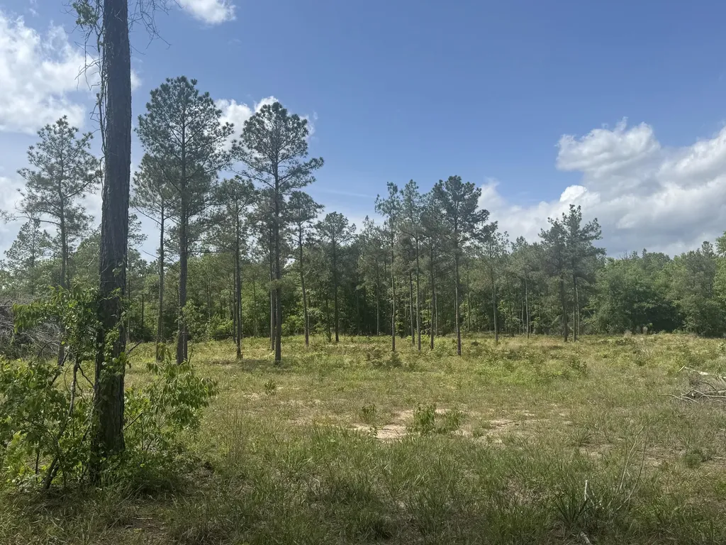 745 Wright Allen Road Blythe GA 30805