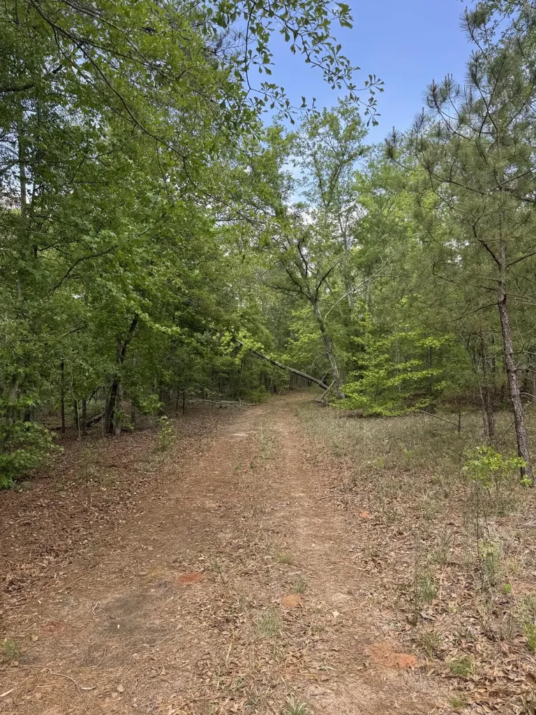 745 Wright Allen Road Blythe GA 30805