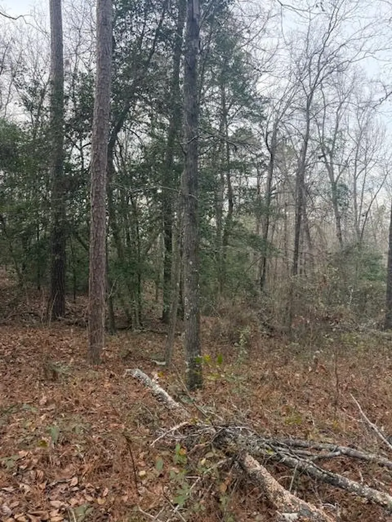 2005 Mcdade Farm Road Hephzibah GA 30815