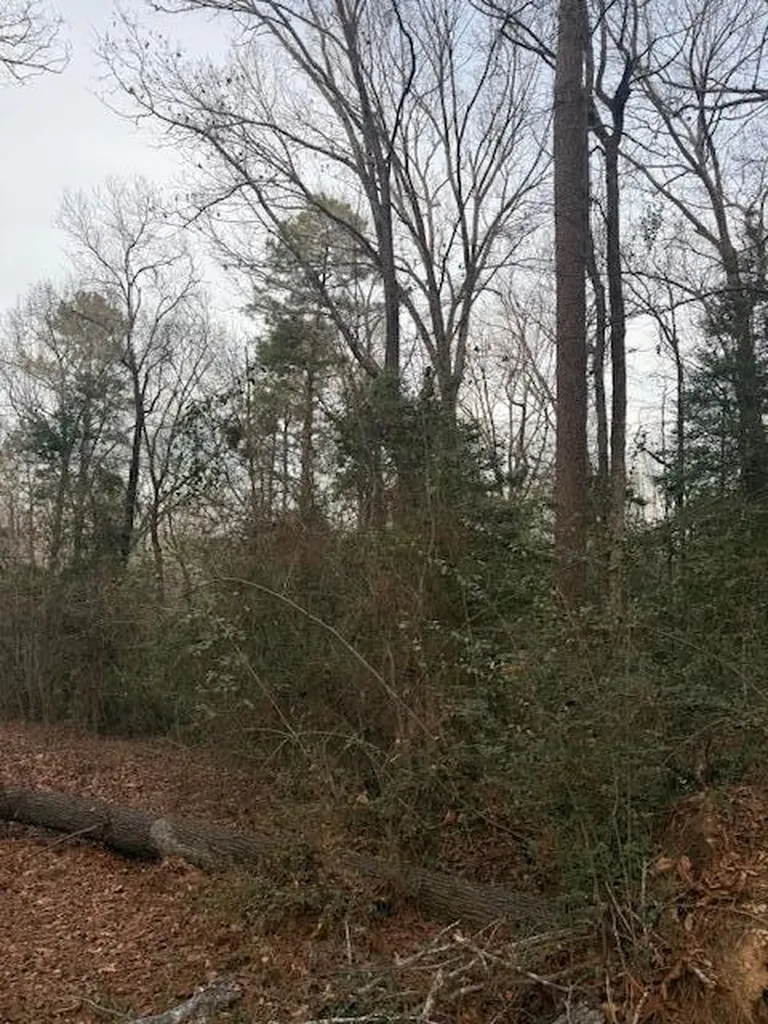 2005 Mcdade Farm Road Hephzibah GA 30815