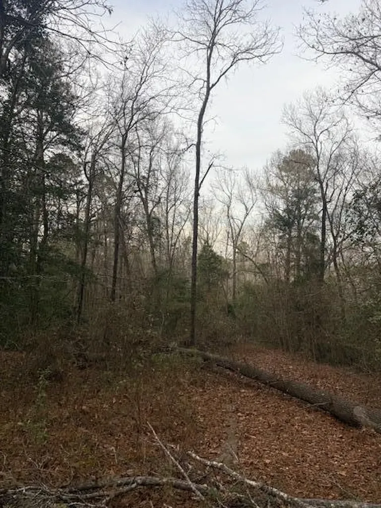 2005 Mcdade Farm Road Hephzibah GA 30815