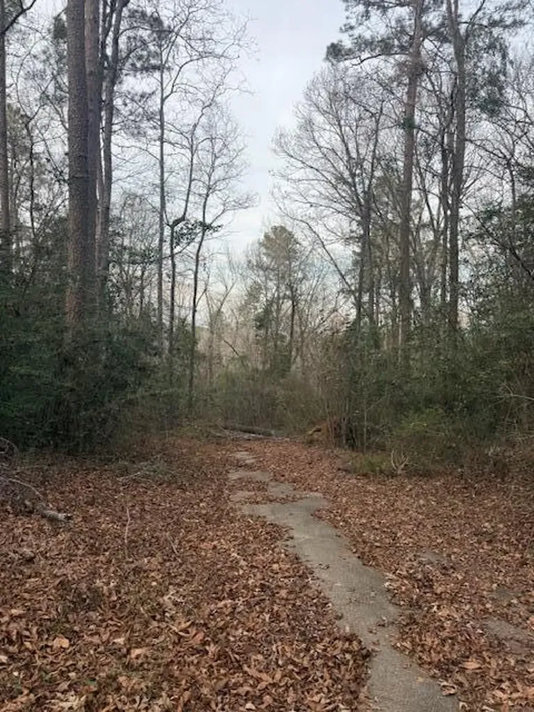 2005 Mcdade Farm Road Hephzibah GA 30815