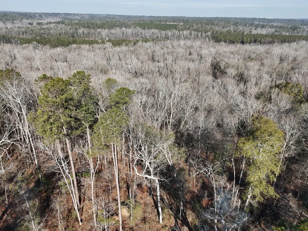 0 Ponderosa Road Waynesboro GA 30830