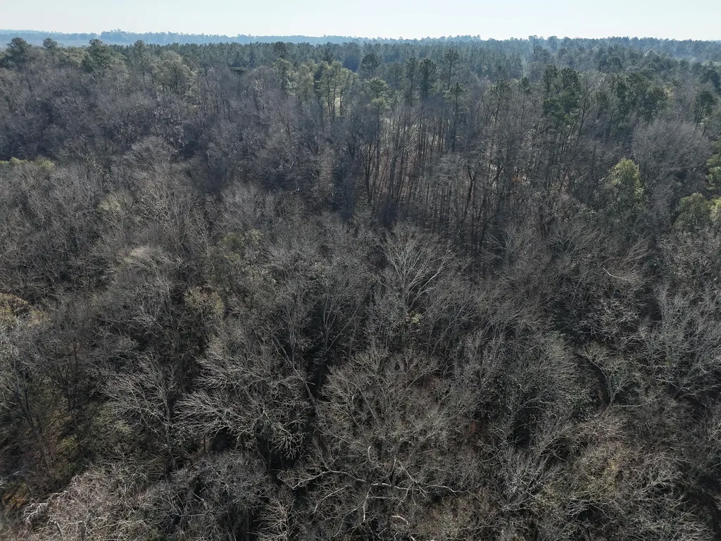 0 Ponderosa Road Waynesboro GA 30830