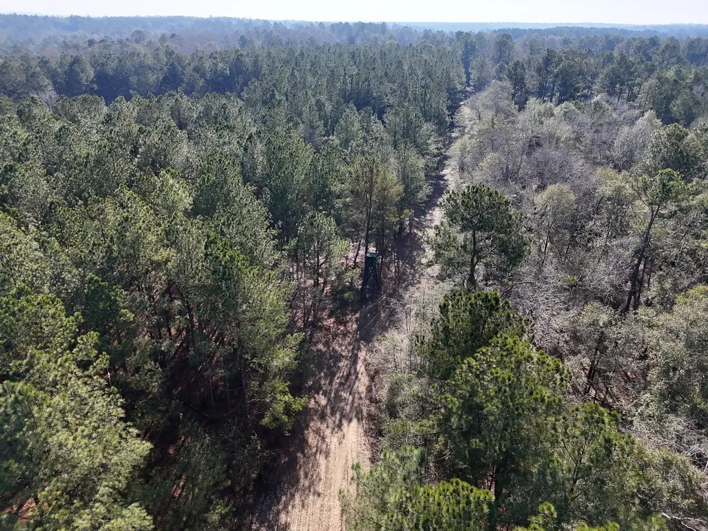 0 Ponderosa Road Waynesboro GA 30830