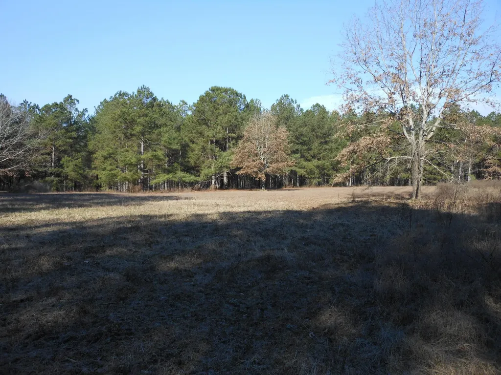 0 Ponderosa Road Waynesboro GA 30830