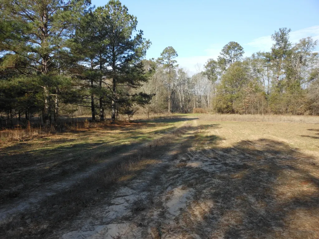 0 Ponderosa Road Waynesboro GA 30830