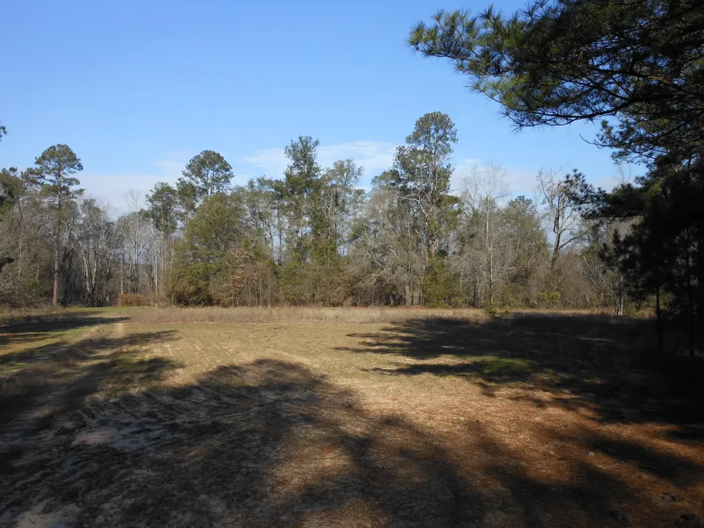 0 Ponderosa Road Waynesboro GA 30830