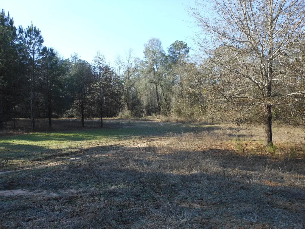 0 Ponderosa Road Waynesboro GA 30830