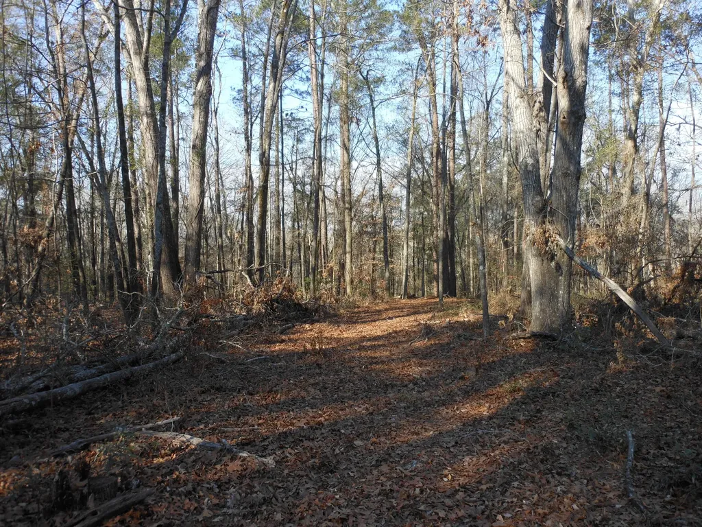 0 Ponderosa Road Waynesboro GA 30830