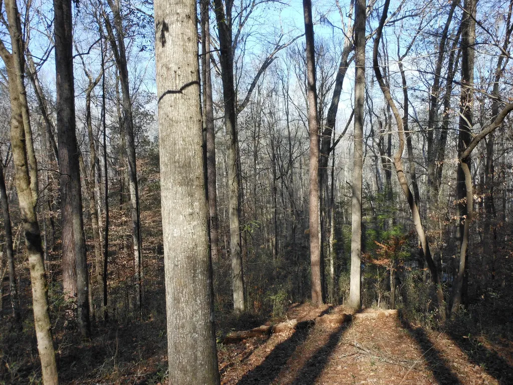0 Ponderosa Road Waynesboro GA 30830