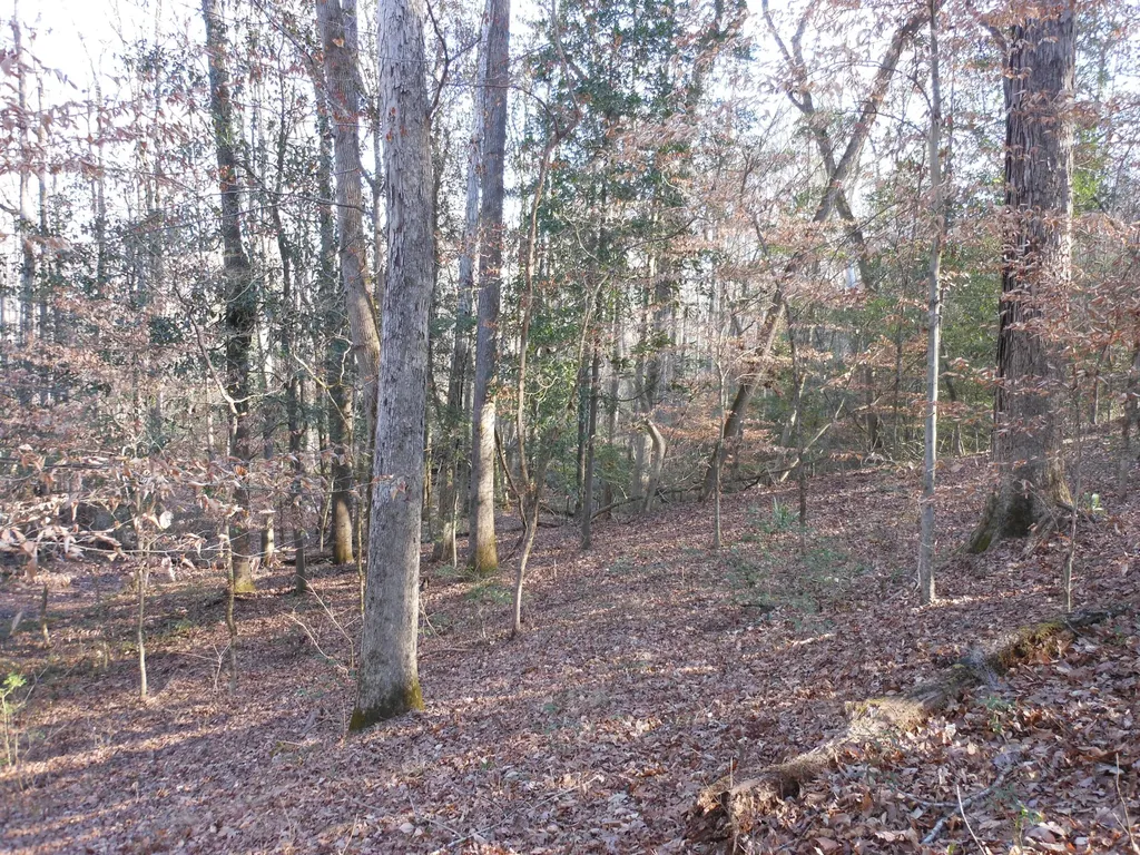 0 Ponderosa Road Waynesboro GA 30830