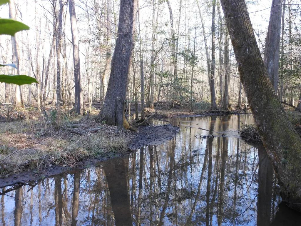 0 Ponderosa Road Waynesboro GA 30830