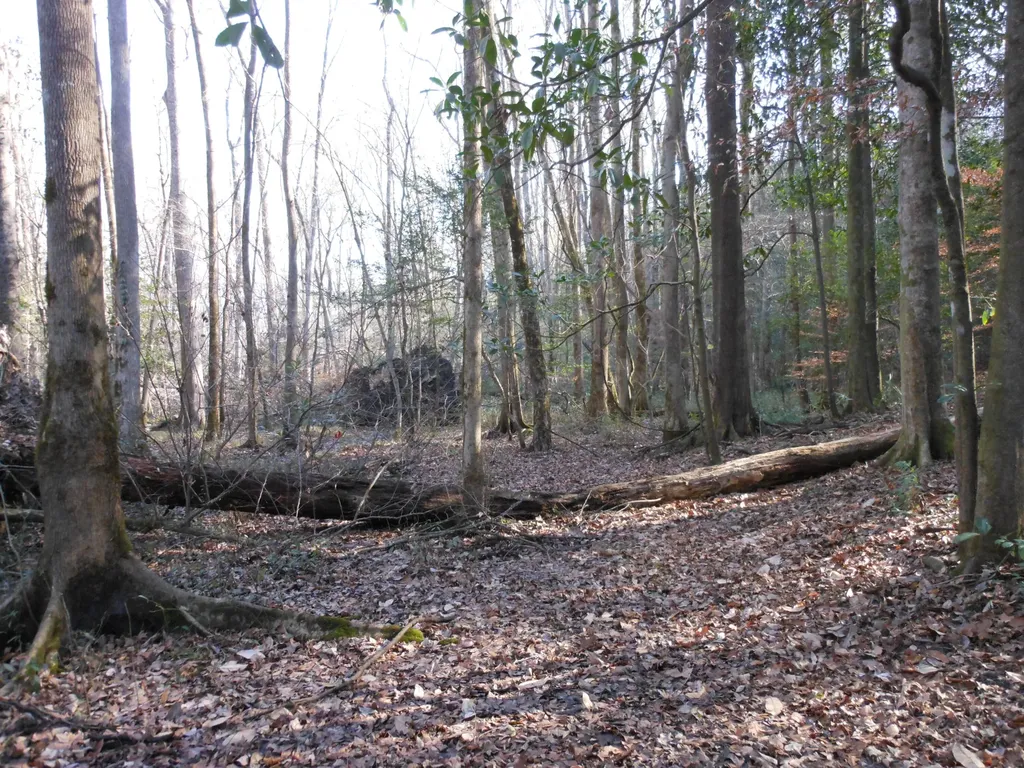 0 Ponderosa Road Waynesboro GA 30830