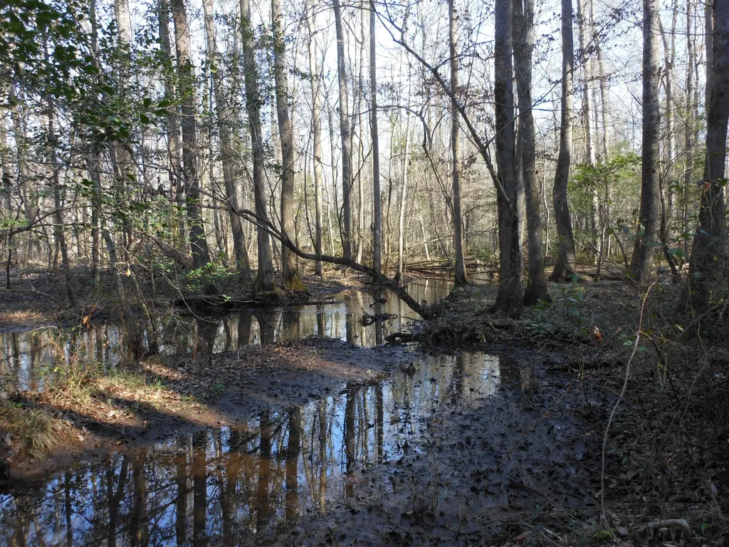 0 Ponderosa Road Waynesboro GA 30830