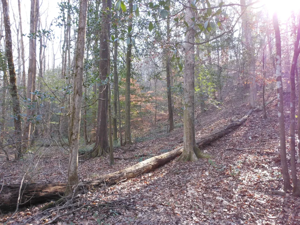 0 Ponderosa Road Waynesboro GA 30830
