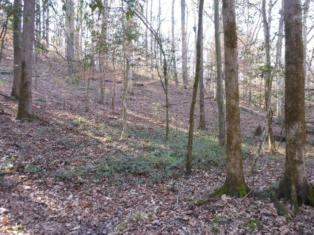 0 Ponderosa Road Waynesboro GA 30830