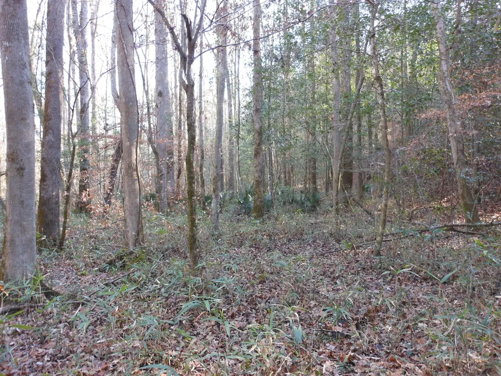 0 Ponderosa Road Waynesboro GA 30830