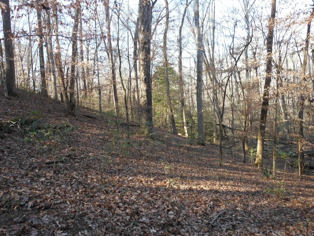 0 Ponderosa Road Waynesboro GA 30830