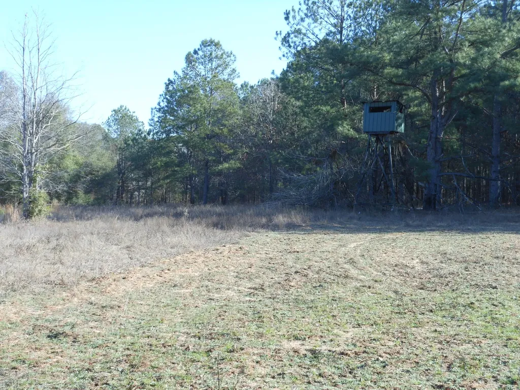 0 Ponderosa Road Waynesboro GA 30830