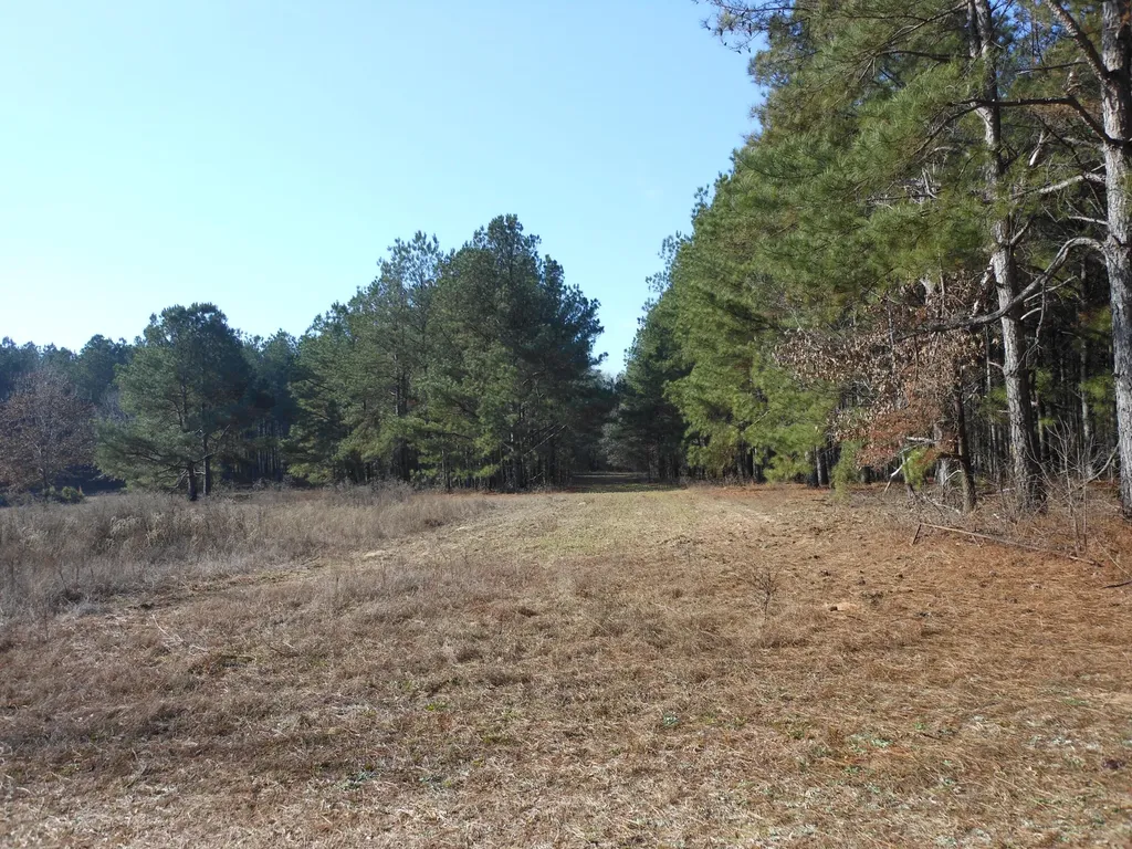 0 Ponderosa Road Waynesboro GA 30830