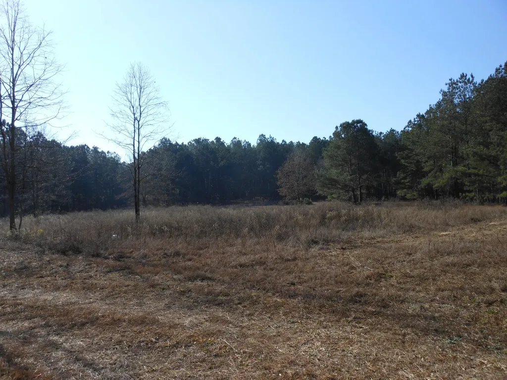 0 Ponderosa Road Waynesboro GA 30830