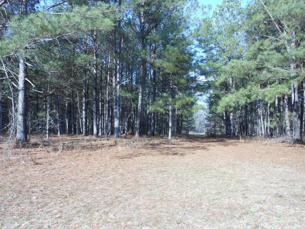 0 Ponderosa Road Waynesboro GA 30830